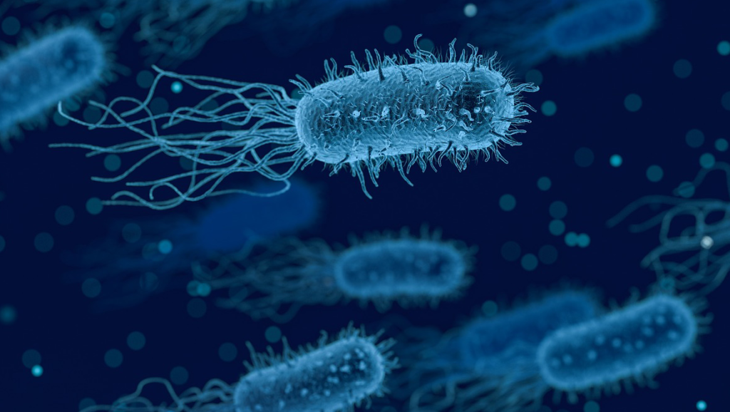 Почему бактерии живые. Чумная палочка бактерия. Вирусы и бактерии. Бактерии картинки.